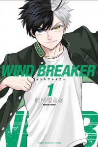 Wind Breaker (NII Satoru)